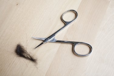 Safe Steps to Remove Motor Oil from Your Cat’s Fur