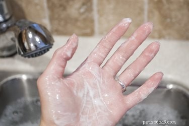 Safe Steps to Remove Motor Oil from Your Cat’s Fur