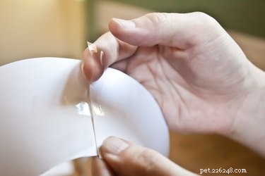 Create a Gentle Soft Elizabethan Collar for Cats – DIY Guide