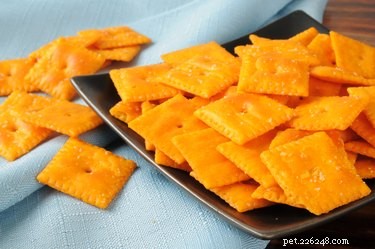 Are Cheez‑Its Safe for Cats? A Quick Safety Guide