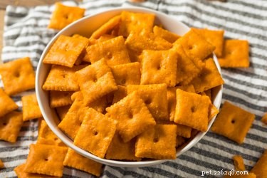 Are Cheez‑Its Safe for Cats? A Quick Safety Guide