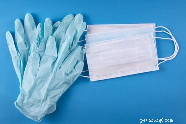 Create a Cat‑Safe First‑Aid Kit: Essential Supplies & Tips