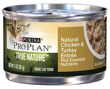 Top-Rated Wet Cat Foods for Healthy, Hydrated Cats