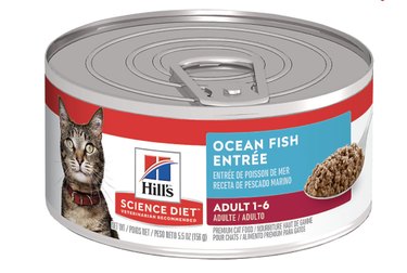 Top-Rated Wet Cat Foods for Healthy, Hydrated Cats