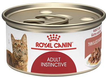 Top-Rated Wet Cat Foods for Healthy, Hydrated Cats