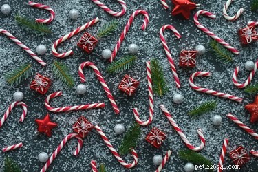 Are Candy Canes Safe for Dogs? What You Need to Know