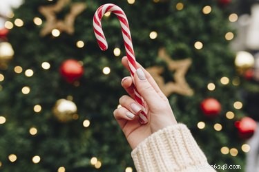 Are Candy Canes Safe for Dogs? What You Need to Know