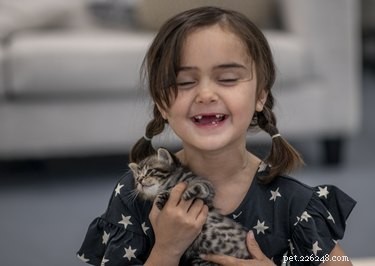 Safety Tips: Handling Newborn Kittens Safely and Gently