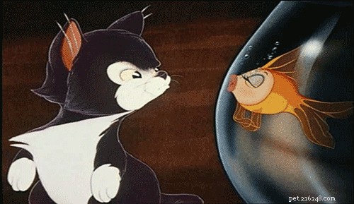 Can Cats Safely Include Fish in Their Diet?
