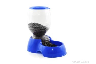 Is an Automatic Cat Feeder Right for Your Feline? A Practical Guide