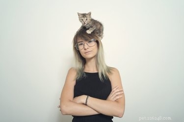 Is a Self‑Cleaning Litter Box Worth It? Pros, Cons, and Practical Tips