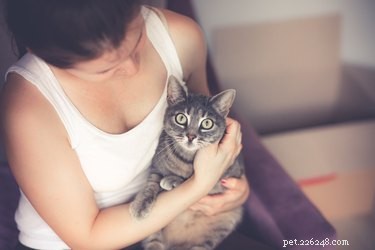 Do Cats Improve Human Health? 5 Proven Benefits of Owning a Feline Friend