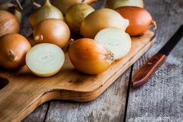 Are Onions Safe for Cats? Expert Insights on Feeding Risks