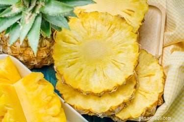 Pineapple and Cats: Safe, Recommended Portions & Tips