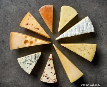Is Cheese Safe for Cats? What You Need to Know