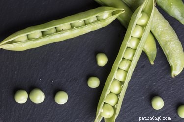Can Cats Safely Consume Peas? Expert Nutrition Guide