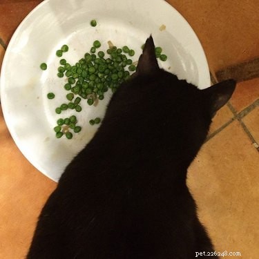 Can Cats Safely Consume Peas? Expert Nutrition Guide