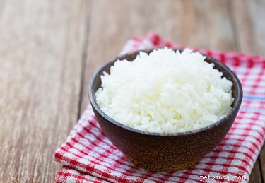 Is Rice Safe for Cats? A Vet-Approved Guide