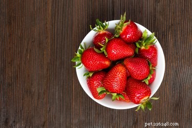 Are Strawberries Safe for Your Cat? A Vet‑Approved Guide