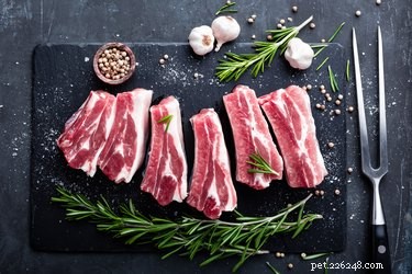 Is Pork Safe for Cats? Expert Guidance on Feeding Your Feline