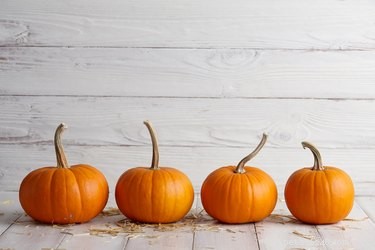 Is Pumpkin Safe for Cats? Health Benefits & Risks Explained