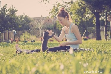Prevent Cat & Kitten Biting: Proven Training Tips