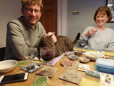 Cats Crash Family Game Night: Adorable Chaos Captured in Photos