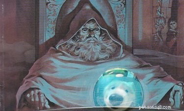 15 Hilarious Pets Reacting to the Viral Orb Meme