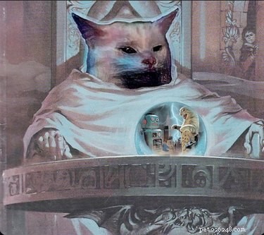 15 Hilarious Pets Reacting to the Viral Orb Meme