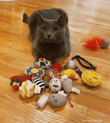 17 Heartwarming Pet Photos Guaranteed to Brighten Your Day