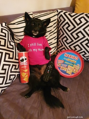 17 Heartwarming Pet Photos Guaranteed to Brighten Your Day