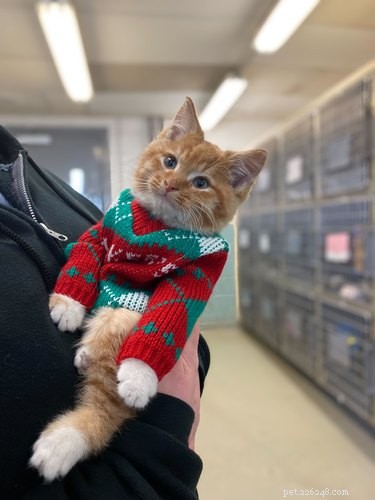 17 Heartwarming Pet Photos Guaranteed to Brighten Your Day