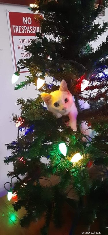 17 Heartwarming Pet Photos Guaranteed to Brighten Your Day