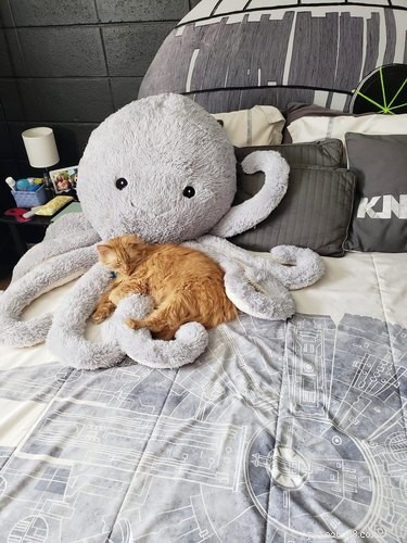 17 Heartwarming Pet Photos Guaranteed to Brighten Your Day