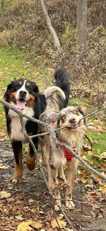 15 Adorable Animals That May Brighten Your Day