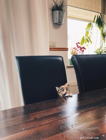 15 Adorable Animals That May Brighten Your Day
