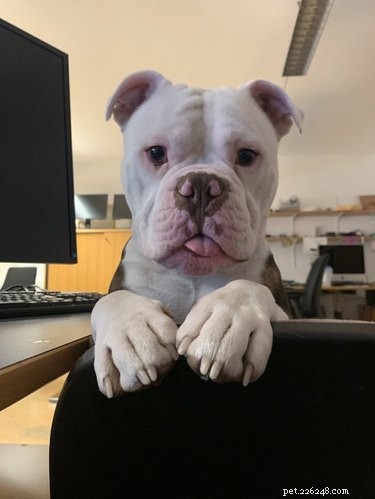 15 Adorable Animals That May Brighten Your Day