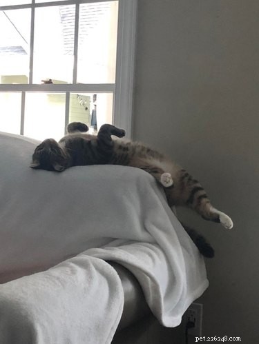 15 Adorable Animals That May Brighten Your Day