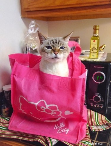 15 Adorable Animals That May Brighten Your Day