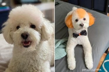 15 Adorable Animals That May Brighten Your Day