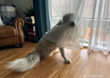 15 Adorable Animals That May Brighten Your Day