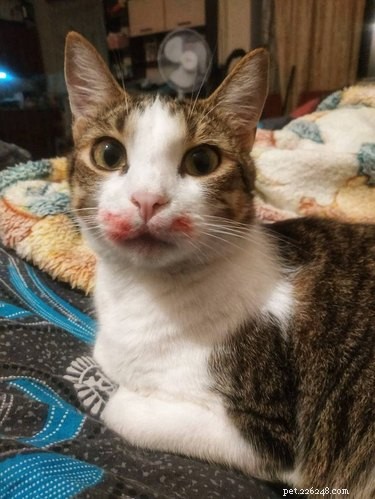 15 Adorable Animals That May Brighten Your Day