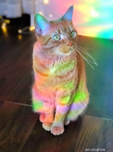 15 Adorable Animals That May Brighten Your Day
