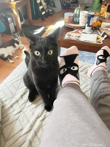 17 Adorable Pet Photos That Will Brighten Your Day