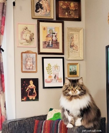 17 Adorable Pet Photos That Will Brighten Your Day