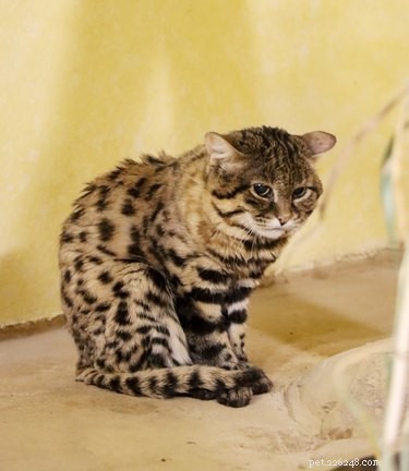 17 Adorable Pet Photos That Will Brighten Your Day