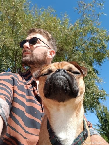 18 Pets That Look Like Iconic Album Covers