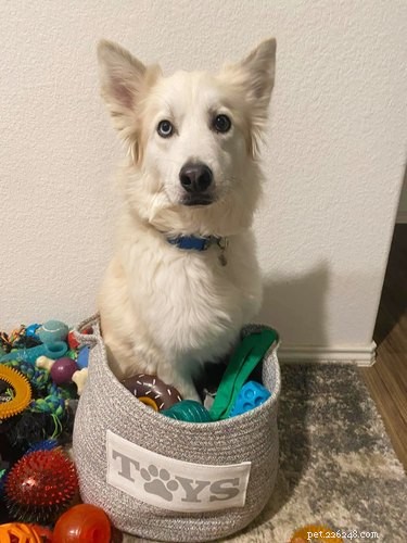18 Heartwarming Pet Photos Guaranteed to Brighten Your Day
