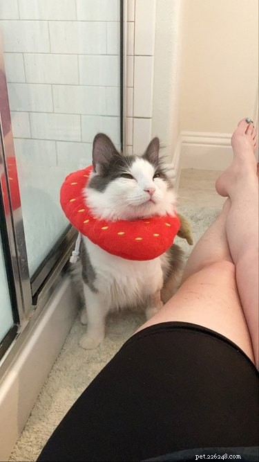 18 Heartwarming Pet Photos Guaranteed to Brighten Your Day