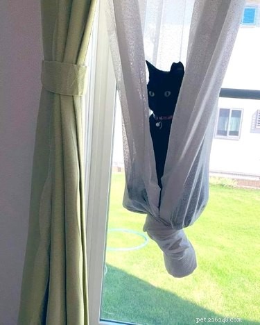 18 Heartwarming Pet Photos Guaranteed to Brighten Your Day